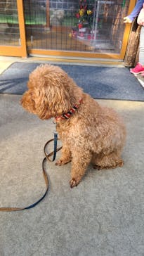 神戸どうぶつ王国に投稿された画像（2020/12/6）