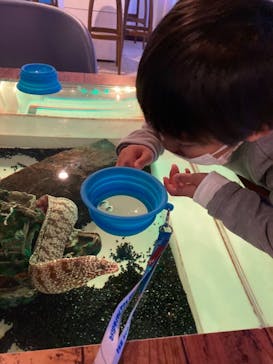 ゼロ距離水族館 伊勢シーパラダイスに投稿された画像（2020/12/6）