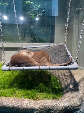 サンシャイン水族館に投稿された画像（2020/12/6）