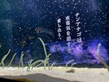 すみだ水族館に投稿された画像（2020/12/6）