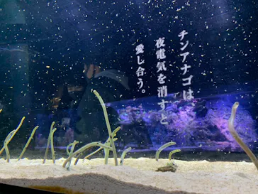 すみだ水族館に投稿された画像（2020/12/6）