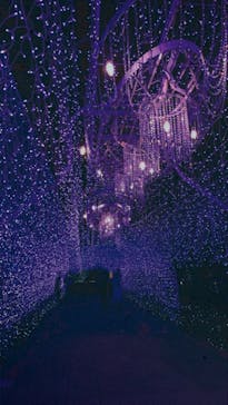 江の島シーキャンドルに投稿された画像（2020/12/6）