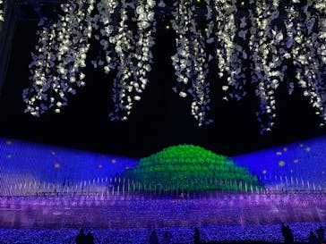 なばなの里に投稿された画像（2020/12/6）