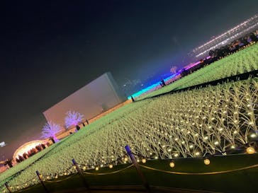 東京メガイルミに投稿された画像（2020/12/6）