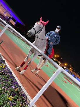 東京メガイルミに投稿された画像（2020/12/6）