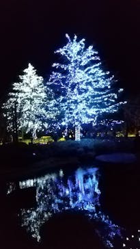 なばなの里に投稿された画像（2020/12/6）