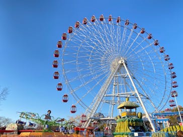 日本モンキーパークに投稿された画像（2020/12/6）