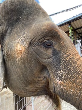 那須ワールドモンキーパークに投稿された画像（2020/12/6）