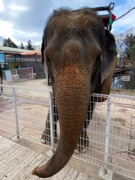 那須ワールドモンキーパークに投稿された画像（2020/12/6）