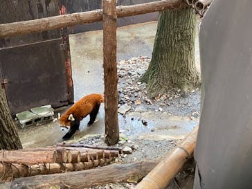 那須ワールドモンキーパークに投稿された画像（2020/12/6）