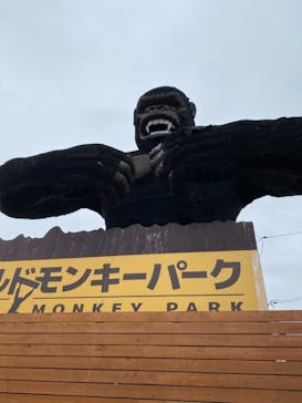 那須ワールドモンキーパークに投稿された画像（2020/12/6）