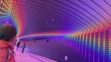 東京メガイルミに投稿された画像（2020/12/6）