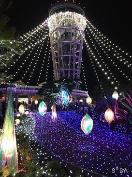 江の島シーキャンドルに投稿された画像（2020/12/6）