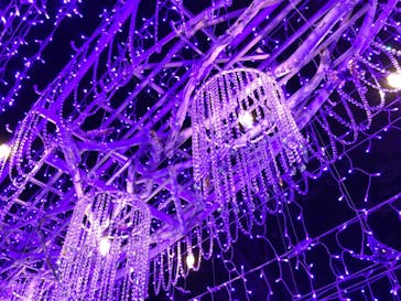 江の島シーキャンドルに投稿された画像（2020/12/6）