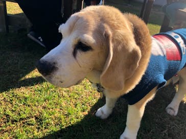 わんダフルネイチャーヴィレッジに投稿された画像（2020/12/6）