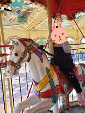 日本モンキーパークに投稿された画像（2020/12/6）