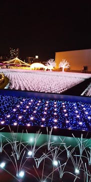 東京メガイルミに投稿された画像（2020/12/6）