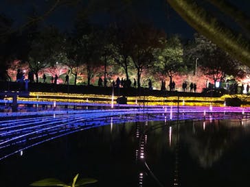 なばなの里に投稿された画像（2020/12/7）