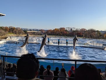 京都水族館に投稿された画像（2020/12/7）