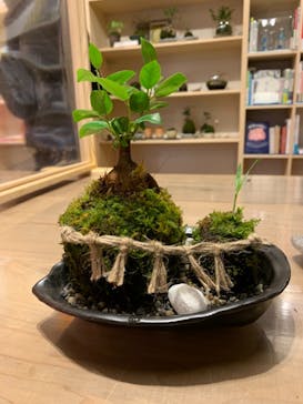 伊勢夫婦岩めおと横丁　めおと岩アクティビティに投稿された画像（2020/12/7）