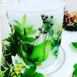 ずこうしつ〜sugamo〜に投稿された画像（2020/12/7）