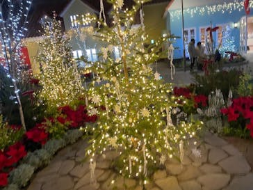 安城産業文化公園デンパークに投稿された画像（2020/12/7）