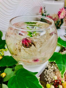 ずこうしつ〜sugamo〜に投稿された画像（2020/12/7）