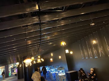 京都水族館に投稿された画像（2020/12/7）