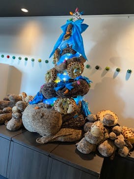 京都水族館に投稿された画像（2020/12/7）