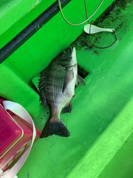 釣り船 進丸に投稿された画像（2020/12/7）