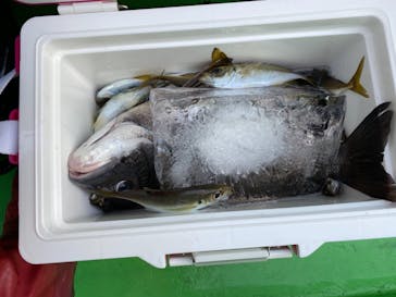 釣り船 進丸に投稿された画像（2020/12/7）