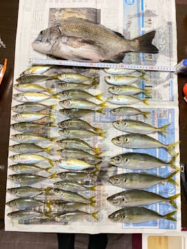 釣り船 進丸に投稿された画像（2020/12/7）