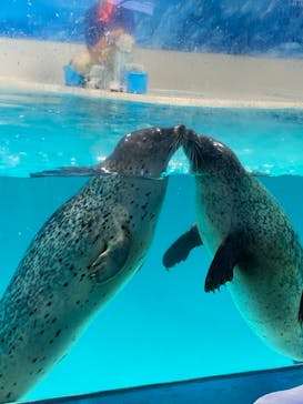 下田海中水族館に投稿された画像（2020/12/7）
