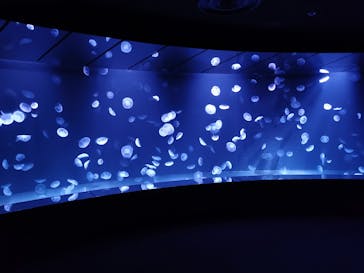 サンシャイン水族館に投稿された画像（2020/12/7）