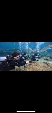 武藤潜水に投稿された画像（2020/12/7）