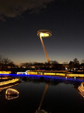 なばなの里に投稿された画像（2020/12/7）