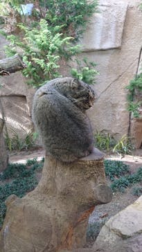 那須どうぶつ王国に投稿された画像（2020/12/7）