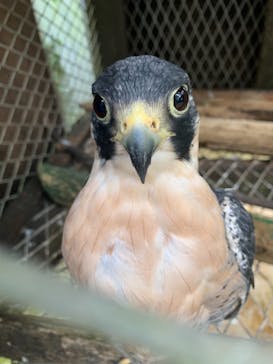 OKINAWAフルーツらんどに投稿された画像（2020/12/7）