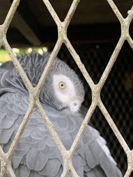 OKINAWAフルーツらんどに投稿された画像（2020/12/7）