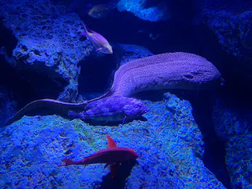 すみだ水族館に投稿された画像（2020/12/7）