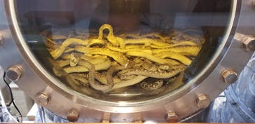 おきなわワールドに投稿された画像（2020/12/7）