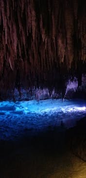 おきなわワールドに投稿された画像（2020/12/7）