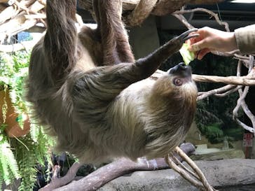 那須どうぶつ王国に投稿された画像（2020/12/7）