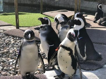 那須どうぶつ王国に投稿された画像（2020/12/7）