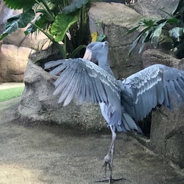 那須どうぶつ王国に投稿された画像（2020/12/7）