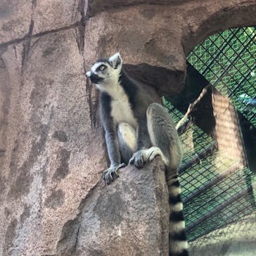 那須どうぶつ王国に投稿された画像（2020/12/7）