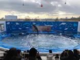 仙台うみの杜水族館に投稿された画像（2020/12/7）