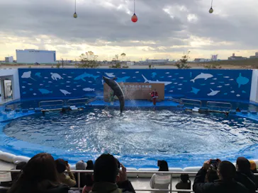 仙台うみの杜水族館に投稿された画像（2020/12/7）