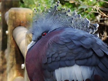 よこはま動物園ズーラシアに投稿された画像（2020/12/7）