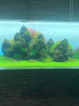 すみだ水族館に投稿された画像（2020/12/7）